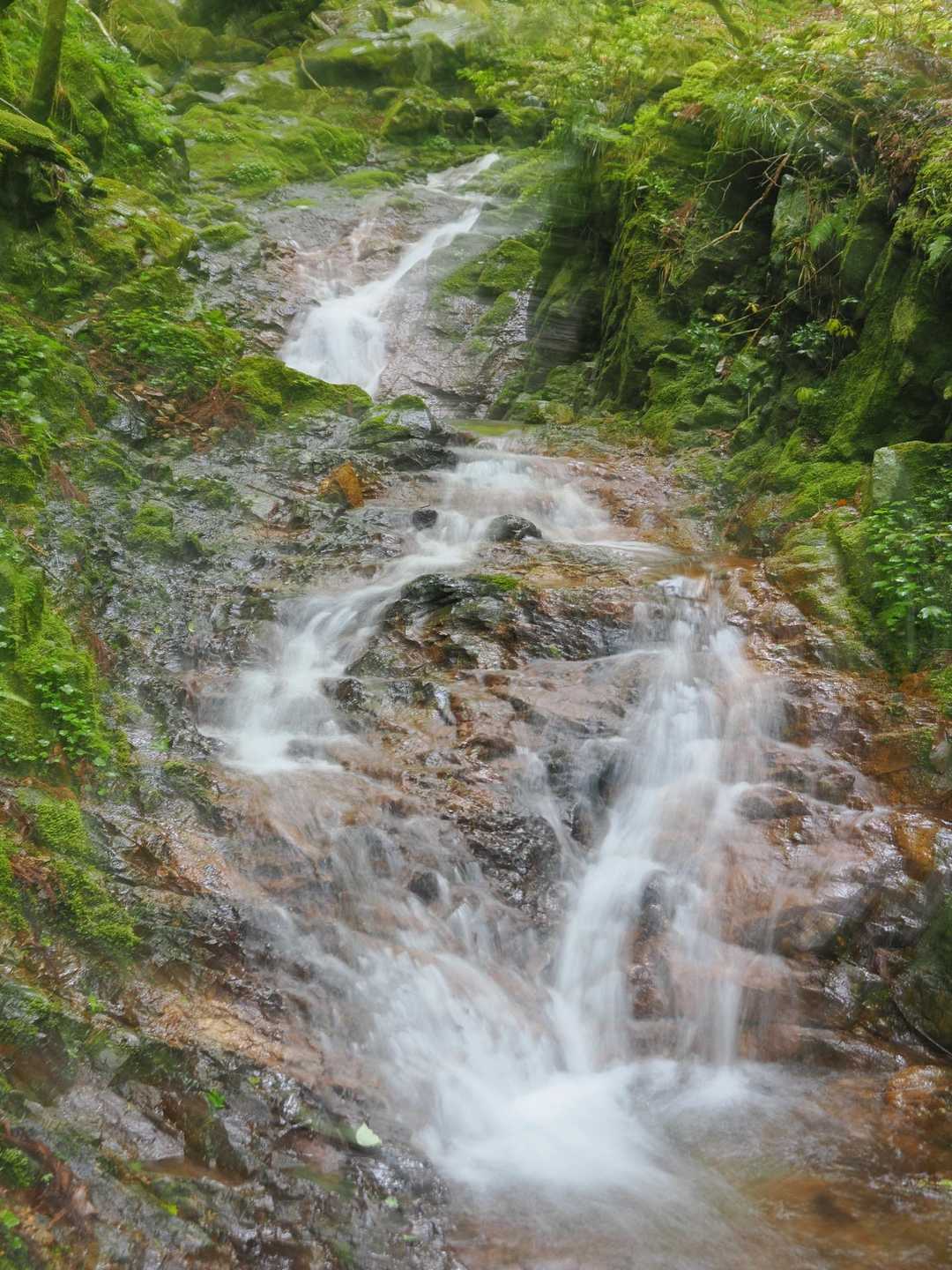 銚子ヶ口登山口-銚子ヶ口 往復コースの写真