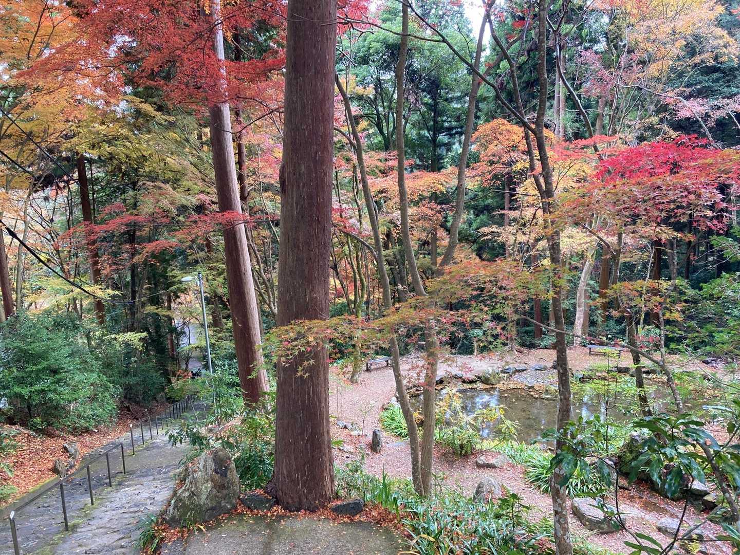 天王山 周回コースの写真