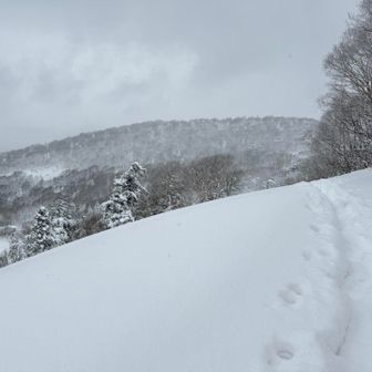 車道を帰ります。正面が携帯電話局舎のあった山毛森
