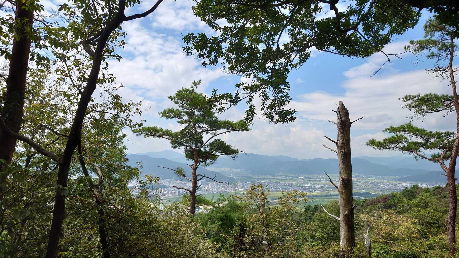 展望台