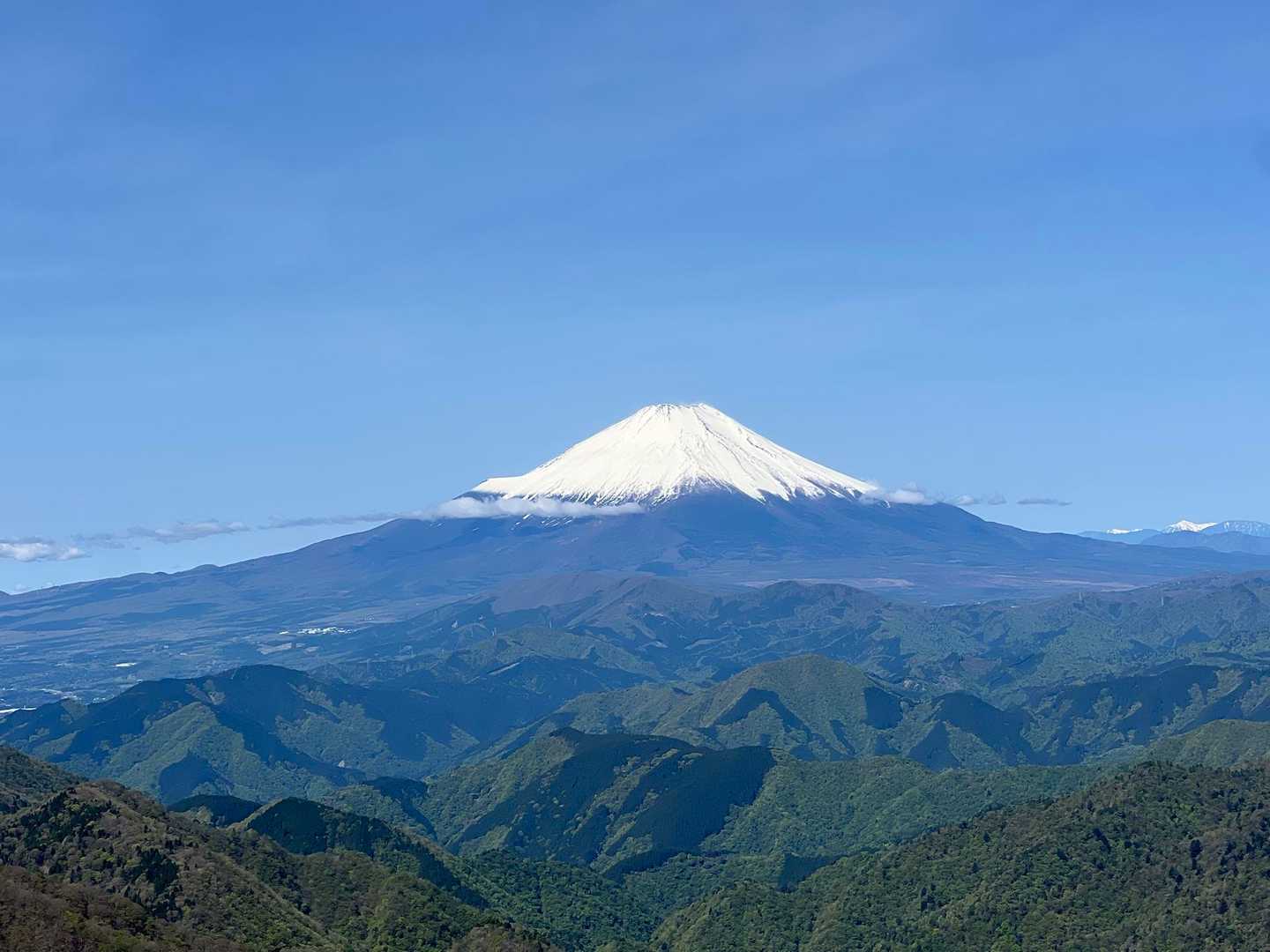 大倉バス停-観音茶屋-堀山-花立ノ頭-塔ノ岳-日高-竜ヶ馬 往復コースの写真
