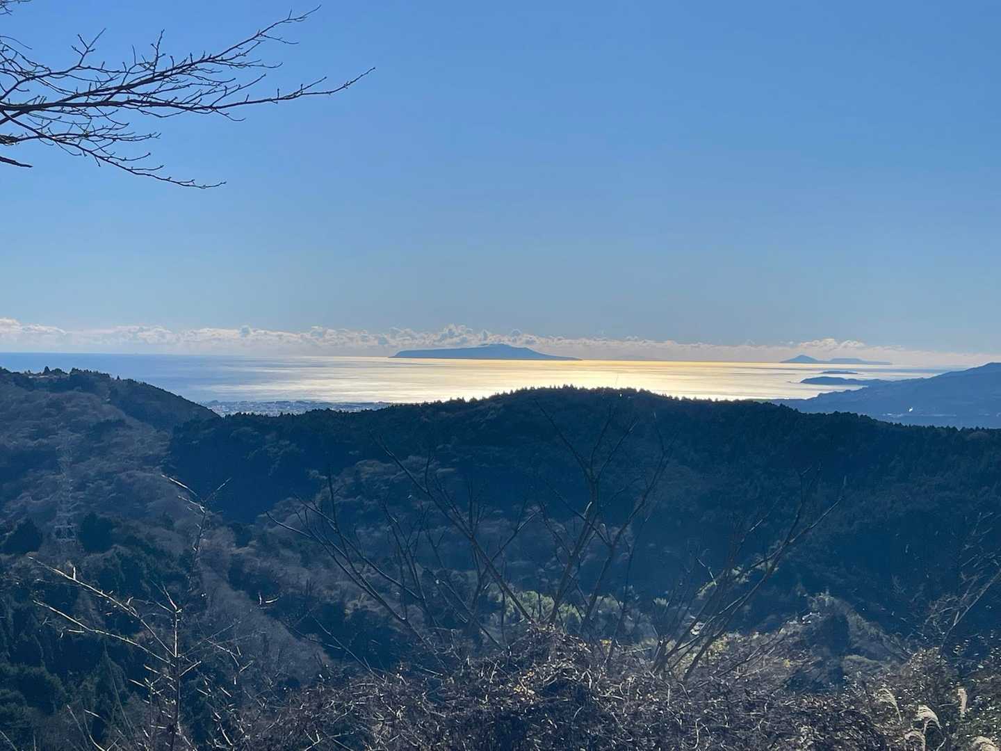 相模湾が✨