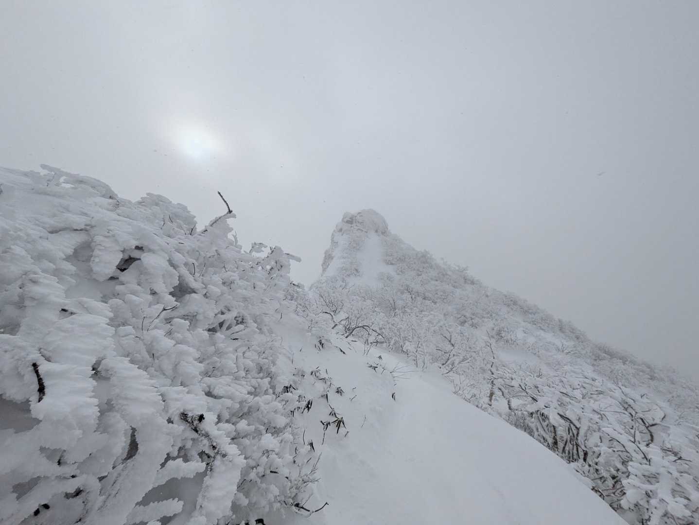 剣ヶ峰山往復 | スリルと爽快の天空縦走。リフトで上がる2000mの極上稜線の写真