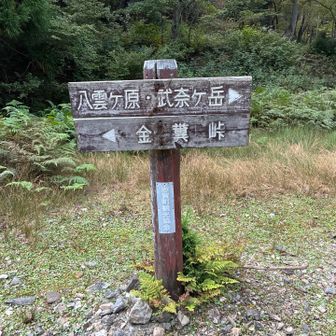 金糞峠へ
なぜこの名前？