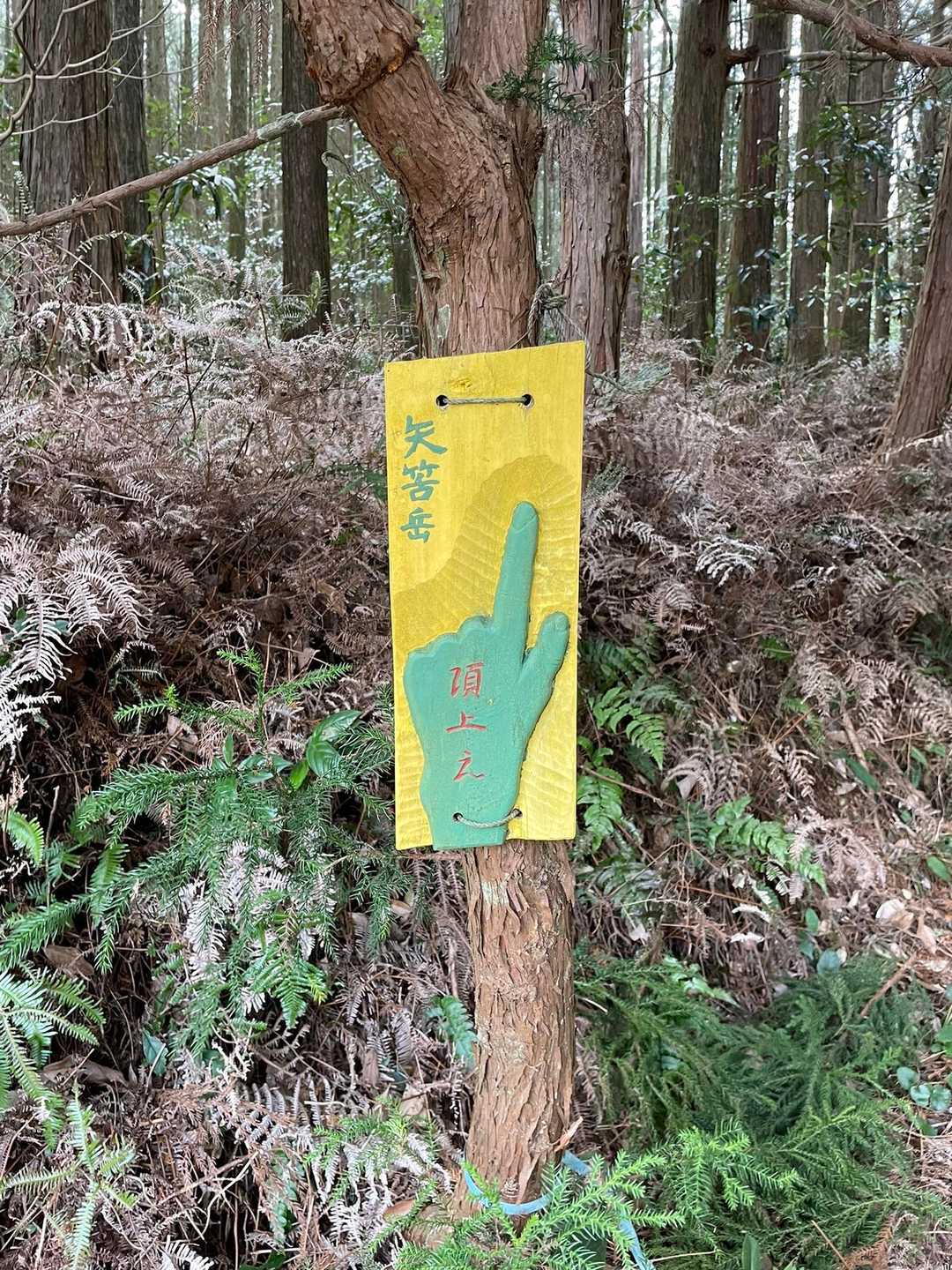 コレコレ〜☝🏻 よく見るヤツ〜👀
