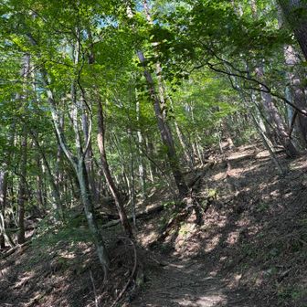 9月は雨が多かったから登山道乾いていて歩きやすかった