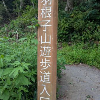 怪我なく下山終了🙌