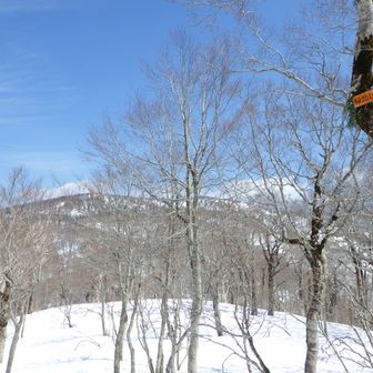 帰雲山まできて、振り返り馬場頂上方面。帰雲山という名前んが気になるので、下山後ネット調べて帰雲城の史実に驚いた。確かに西側の地形に崩壊跡を見ることができる。