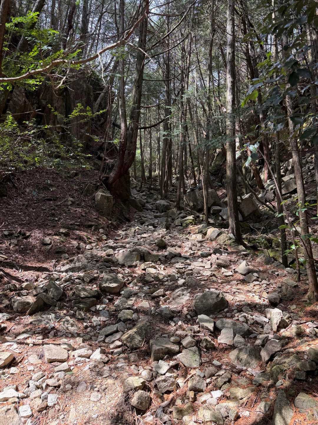 かなり石が大きくなり、気をつけていると少し先頭チームとの間が空きそうになり、頑張りました。少し息が切れました💨😩