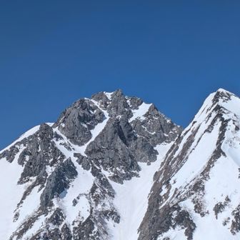 武田菱
この短い部分だけがg1らしい