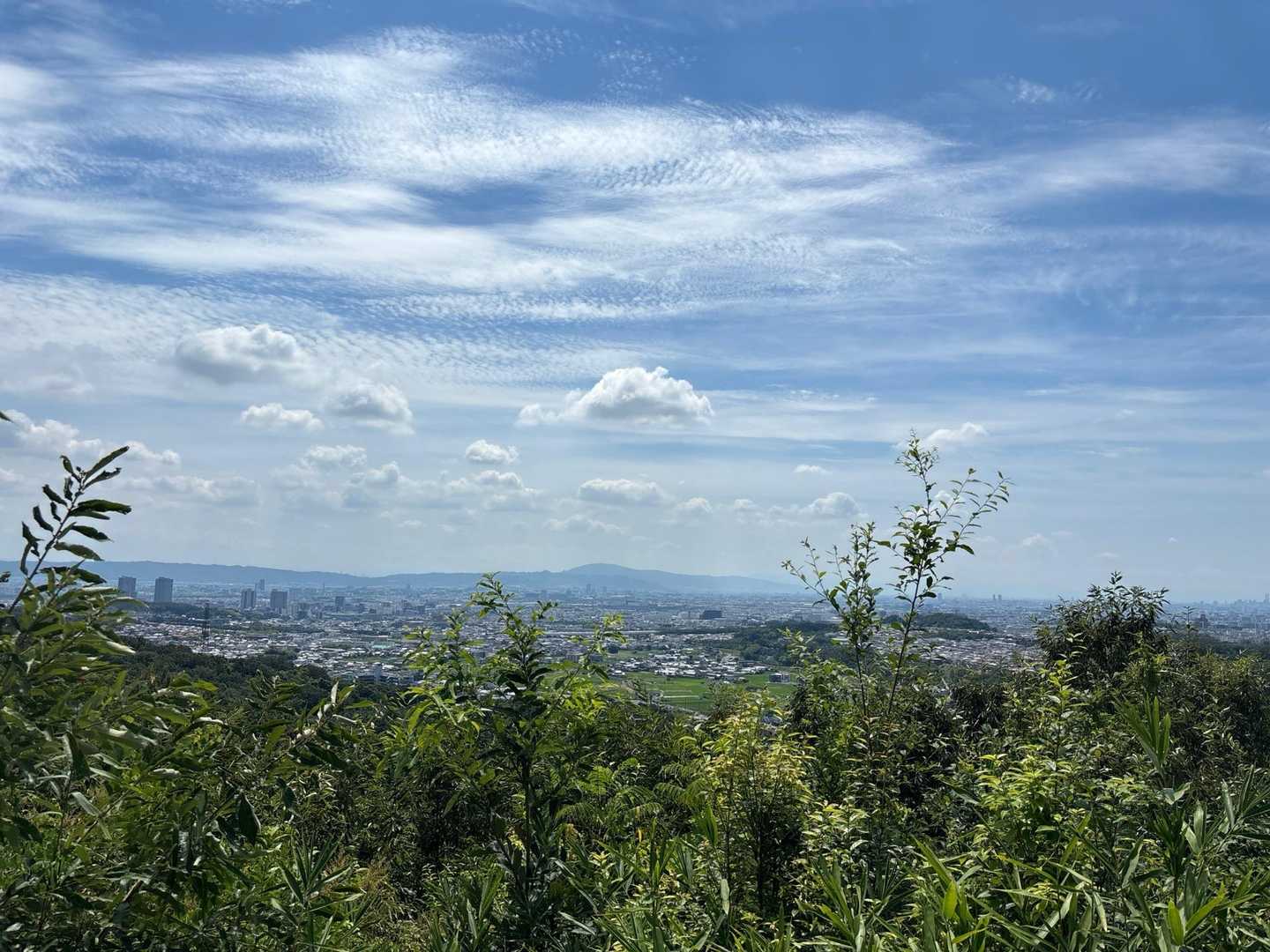 頂上はもう少し先でした💦