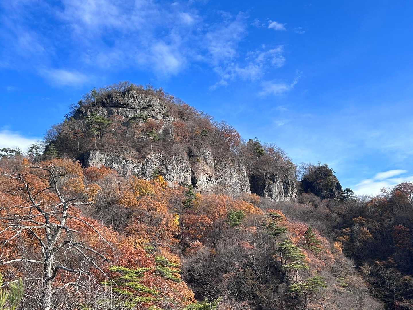 山急山