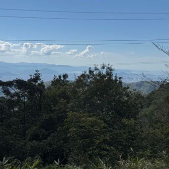山頂からの眺望②和歌山市内方面。