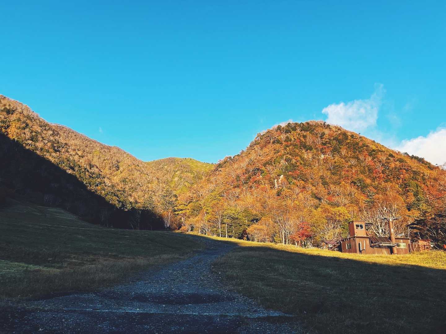 スタートしてすぐの紅葉🍁