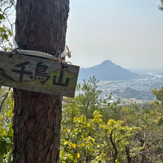 千鳥山⛰️
ここからも岐阜城がバッチシ🏯