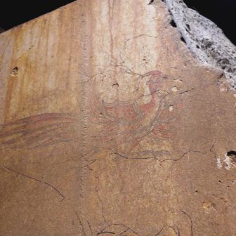 「キトラ古墳四神の館」地下は資料館、レプリカ撮影自由📷️