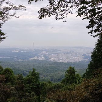 早歩きで物見山へ　段差が大きい所では汗だく