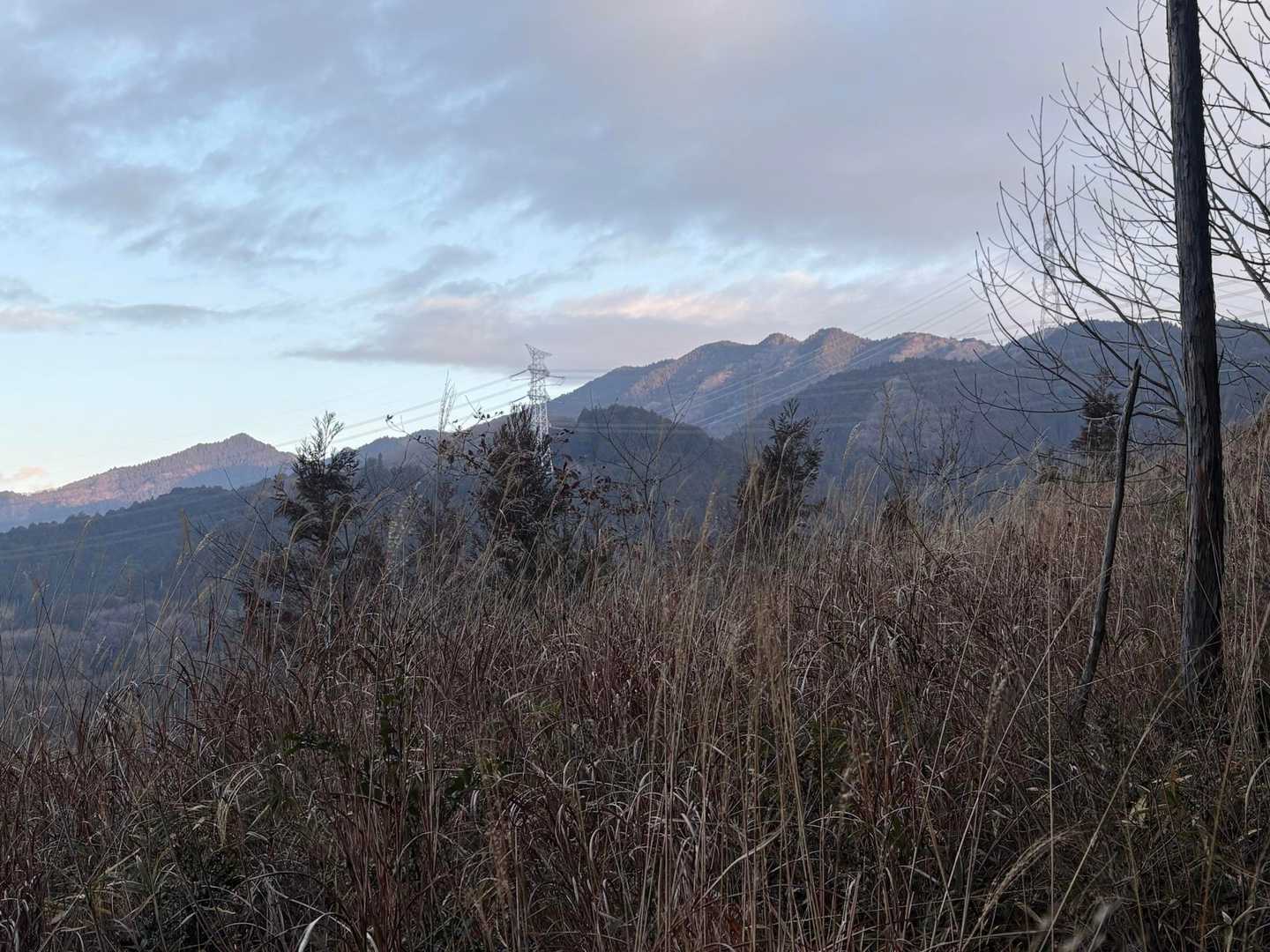 火戸尻山・笹目倉山方面の感じです