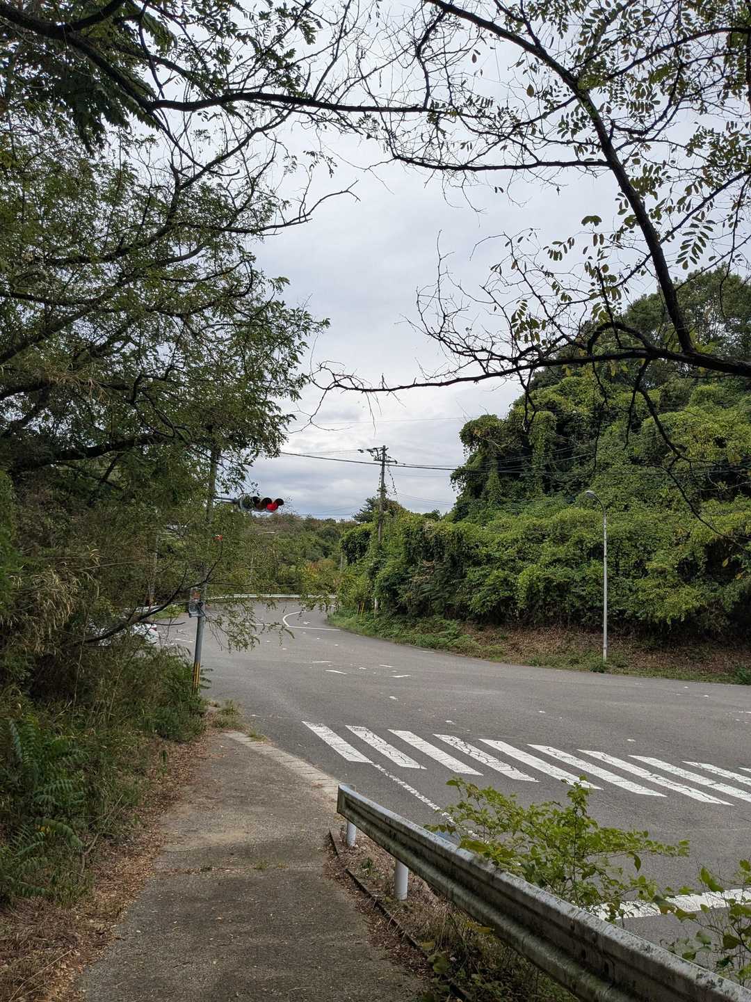 鷹の巣山 往復コースの写真
