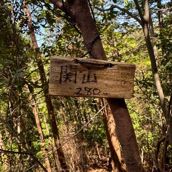 ひとんちの裏山的なところを登り、

早速グレーピークに到着

関山…280m（初）

もちろんバリルートです。