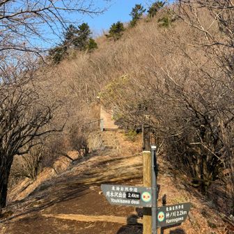 避難小屋にお手洗い有り