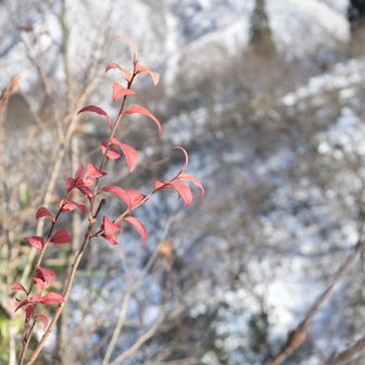 八海山見るなら大力山だよね〜
っということで歩きます