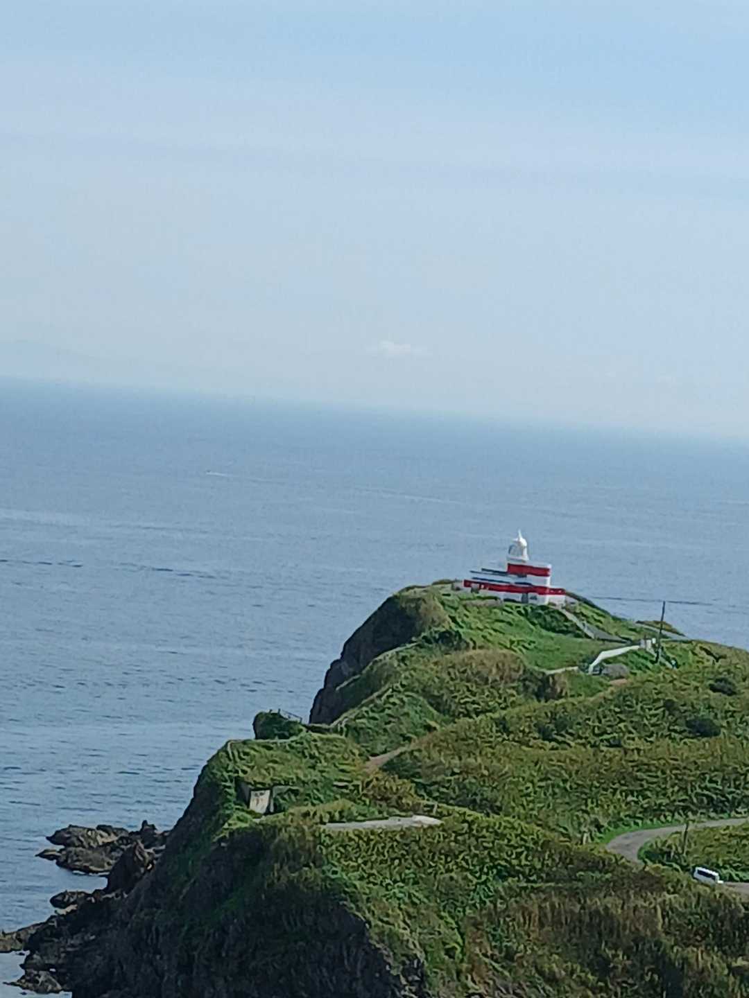 おしまい　🐋🐳