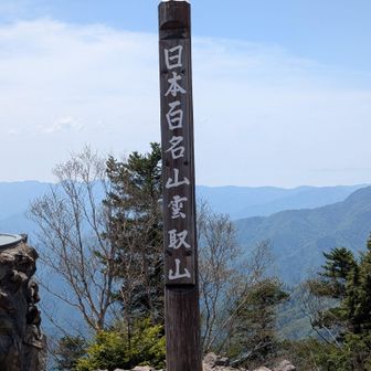 バックの富士山はこの時間は見えませんでした