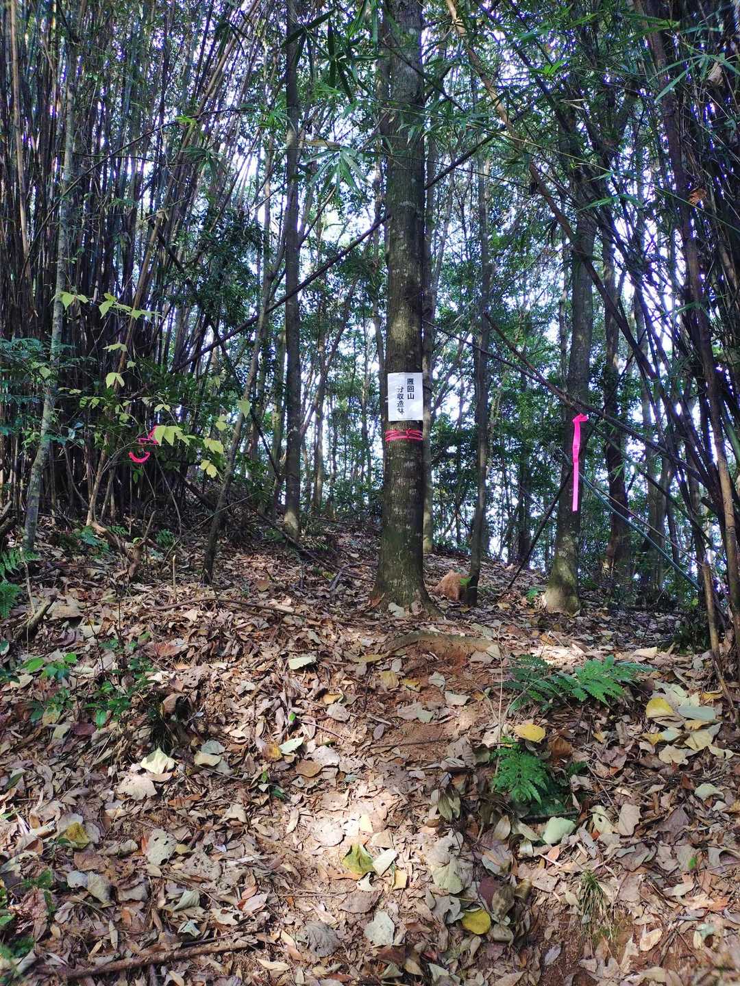 山頂への取り付きに何やら表示が？
