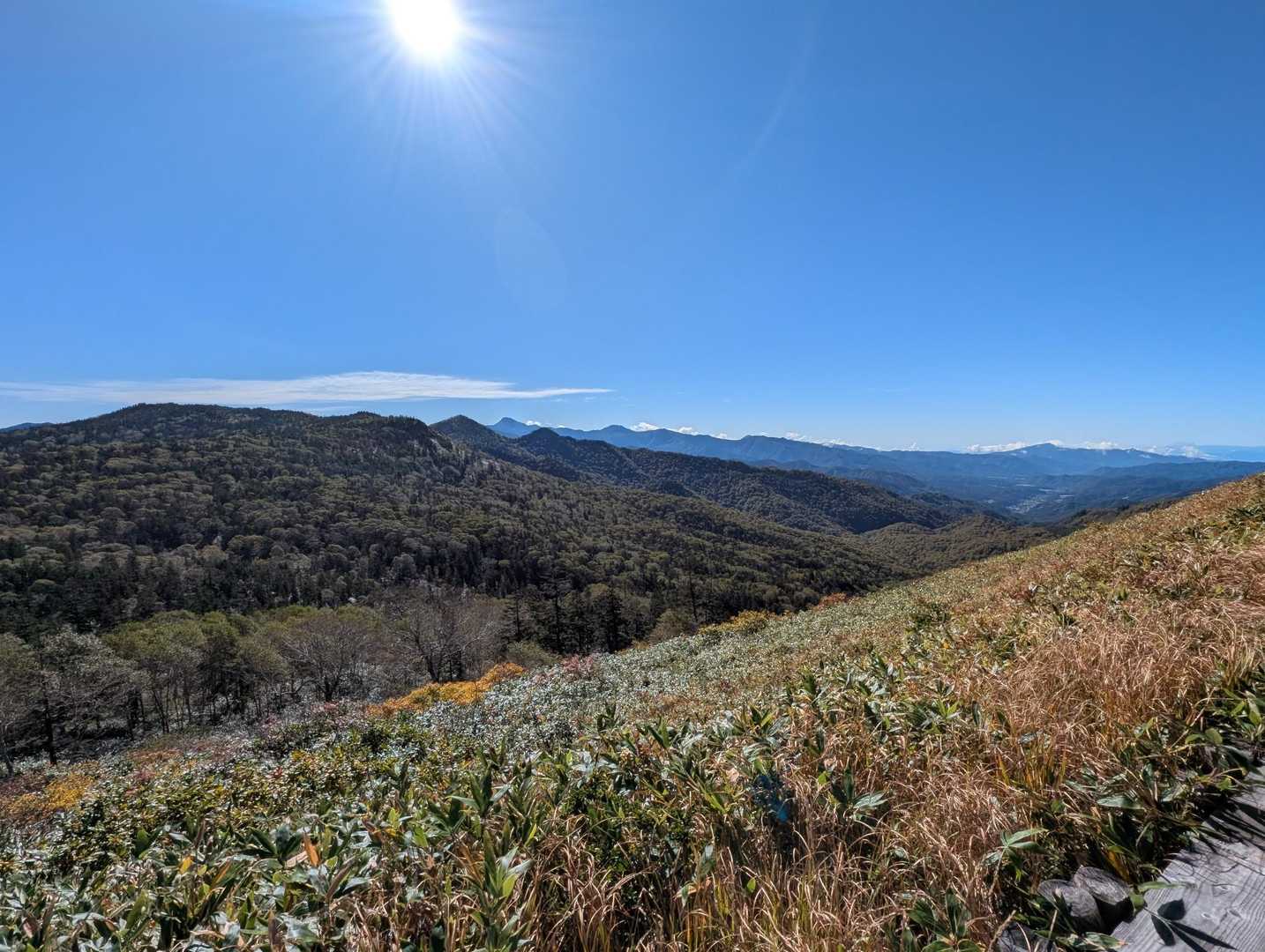 高い木がなくなり視界が開け、とてもか気持ちいい稜線歩きになります
日光白根山、赤城山、富士山を同時に眺めることができます
