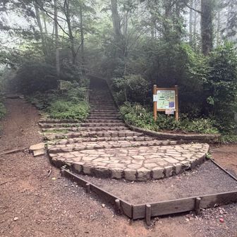 そして山頂手前の3本分岐。真ん中が高尾山山頂、右が稲荷山コースへ、左が1号４号路方面。
まだ使ったことがない４号路方面をチョイス👍