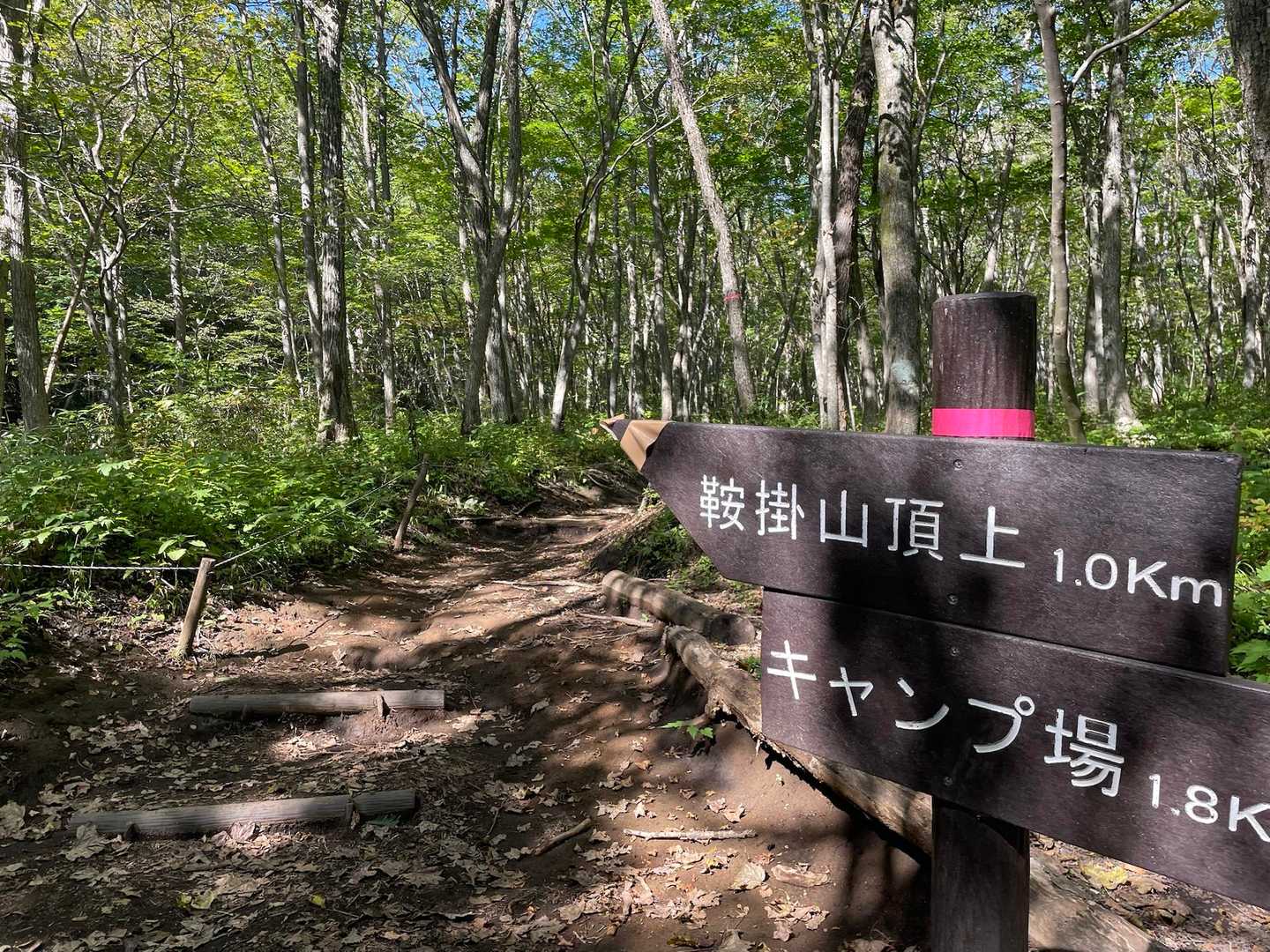 鞍掛山 往復コースの写真