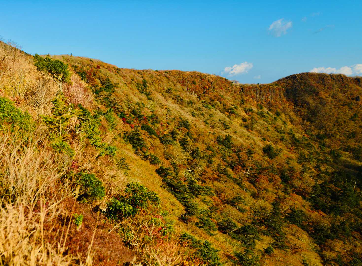 大浪池登山口-大浪池 往復コースの写真