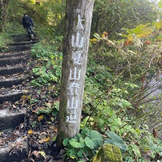 お疲れ山⛰️
