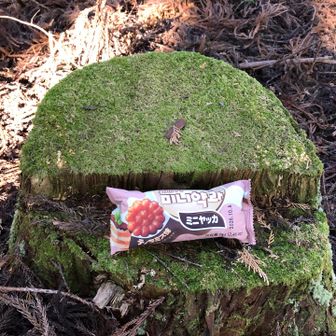 遠見山の山頂に到着！
おやつタイム！