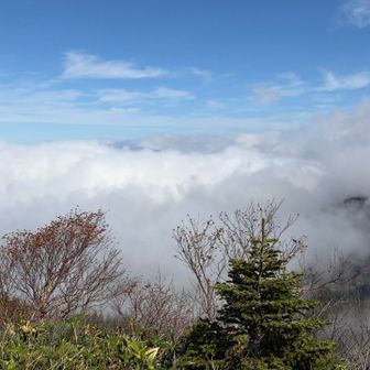 一気に雲が上がってきた！
下ります。