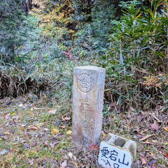 小さな案内板があり、すぐに見つけられませんでした(^_^;)