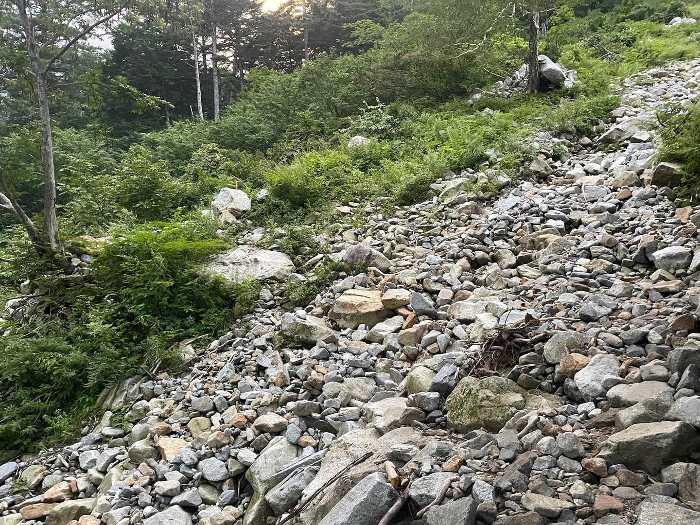 何度も沢を横切る