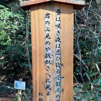 ほー
いろは歌だからいろはの森か
木の名前も勉強できます
西から東でしたが🤪
バカボン🥳