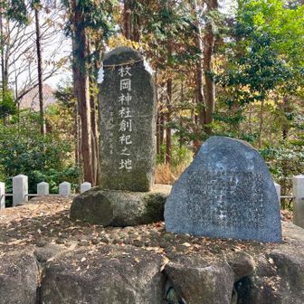 枚岡神社⛩️のはじまりの場所。
河内国一宮です♪