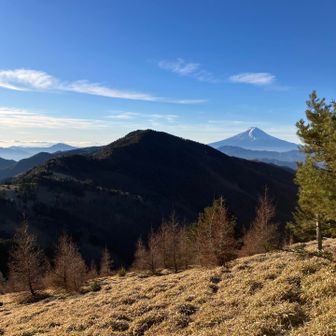 小金沢山と富士山
