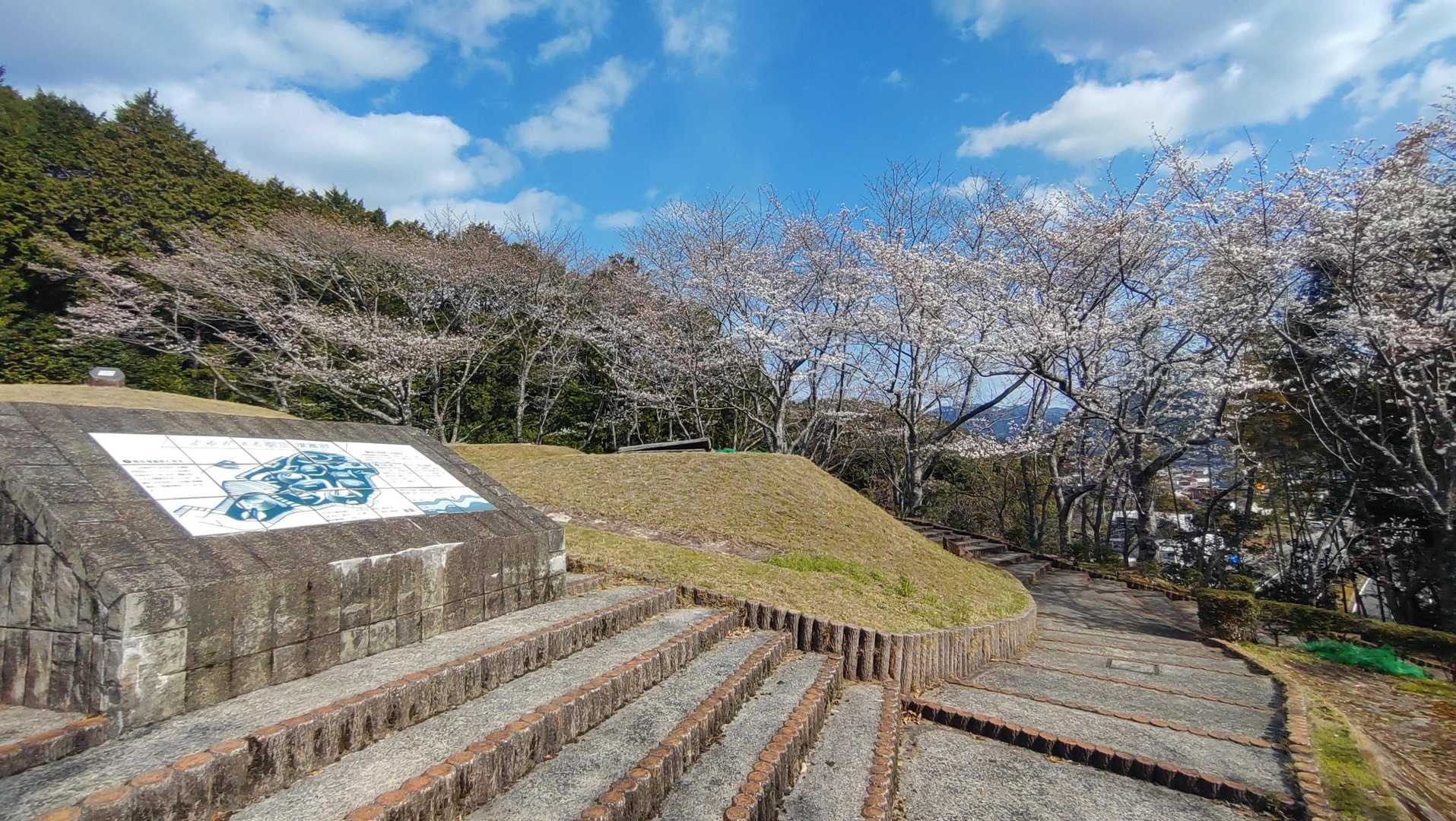 朝田墳墓群にも桜が。