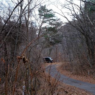 カーブミラーにマイカーがうつったときの安心感
色んな意味で体が重過ぎたけれど、年末年始休みの間に感覚を取り戻していこう