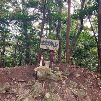 黒髪山までは尾根伝いで比較的楽チンです。
手前にある蛇焼山（じゃやきやま）は源為朝が大蛇を退治した伝説が名前の由来とのこと。
🔥🐍🔥