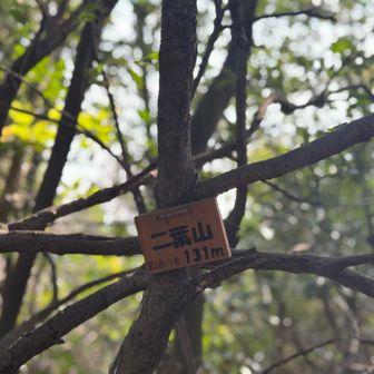 本日最終ピークの二葉山