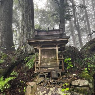 大根ノ山ノ神⛩️

古事記に出てくる大山祇命がお祀りされているそうです。山の神様ですよね。