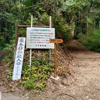 右が旧道です。