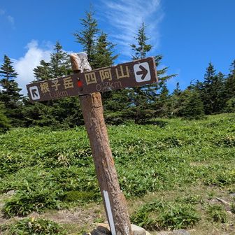 核心部を登り切って四阿山登山道との合流地点へ。ここで小休止