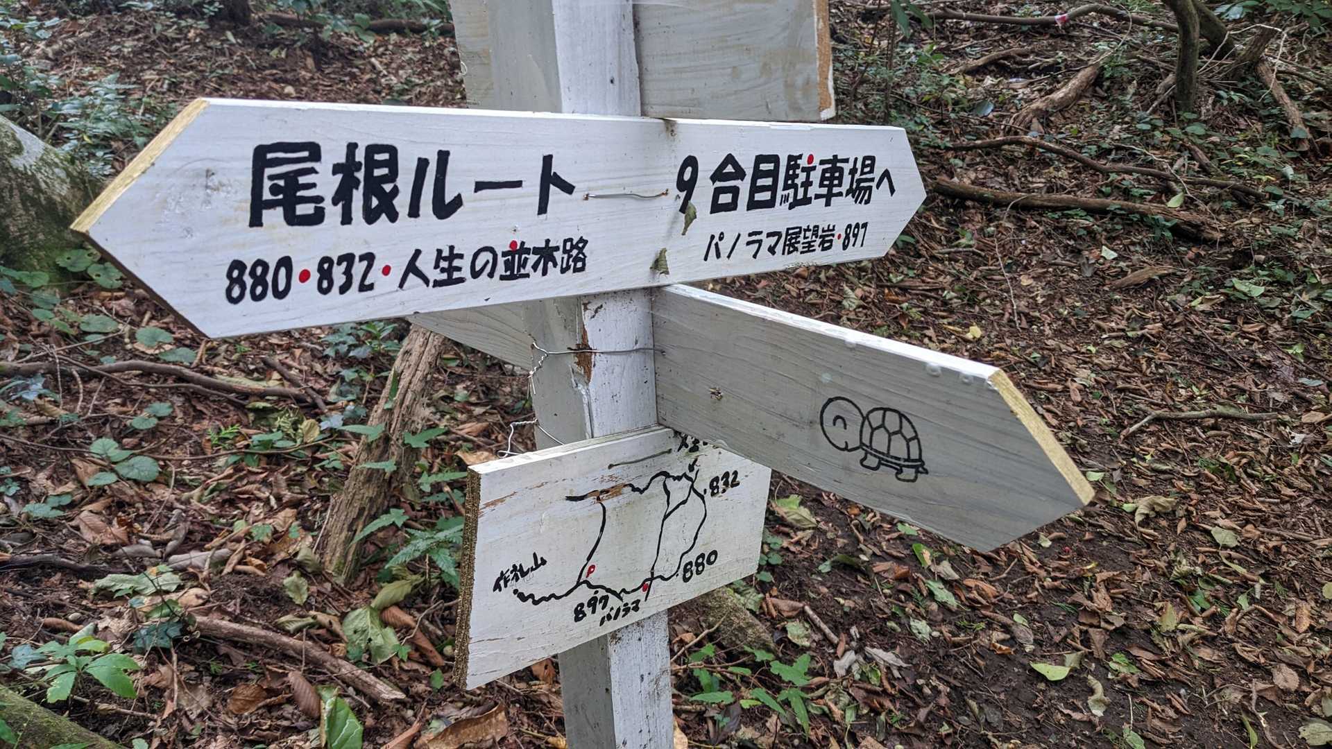 かめちゃんがかわいい！⑧
そしていよいよ人生の並木路