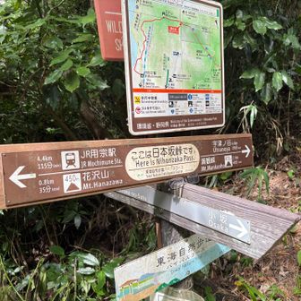やっと日本坂峠まで来ました🥵